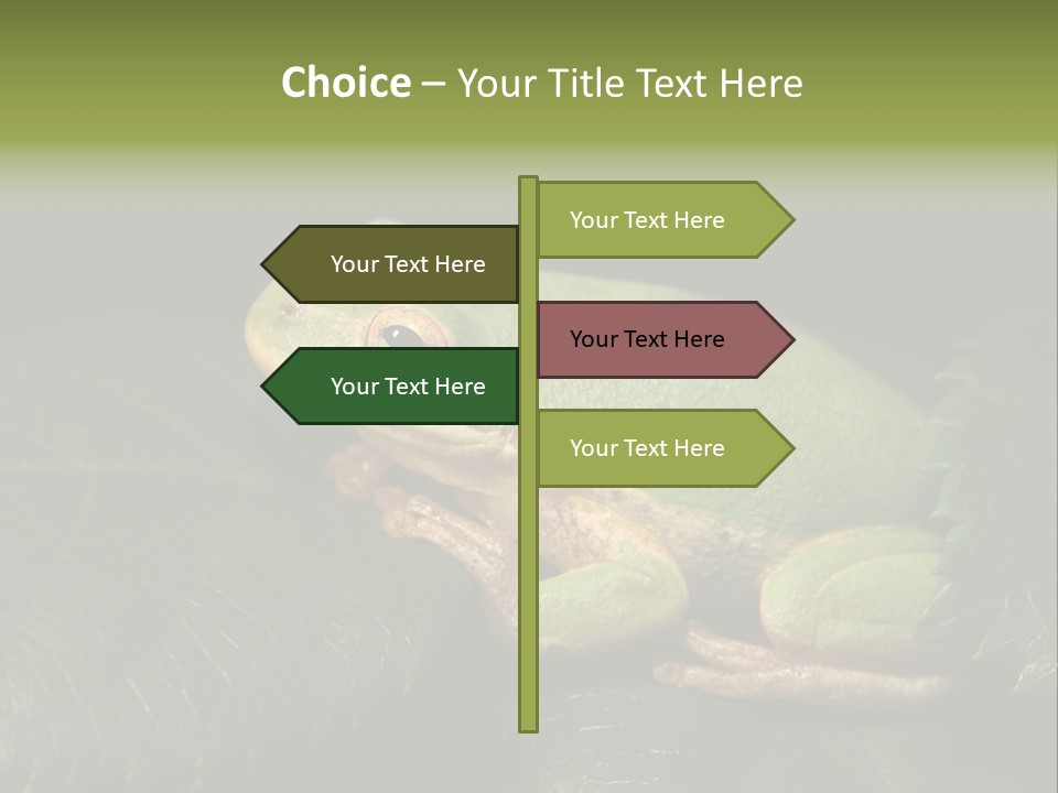 Frog Green Frog Nature PowerPoint Template