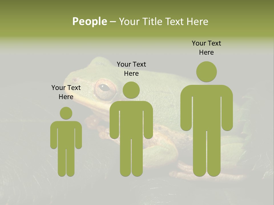 Frog Green Frog Nature PowerPoint Template