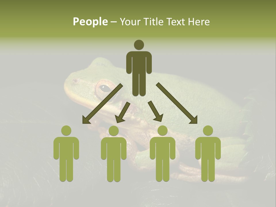 Frog Green Frog Nature PowerPoint Template