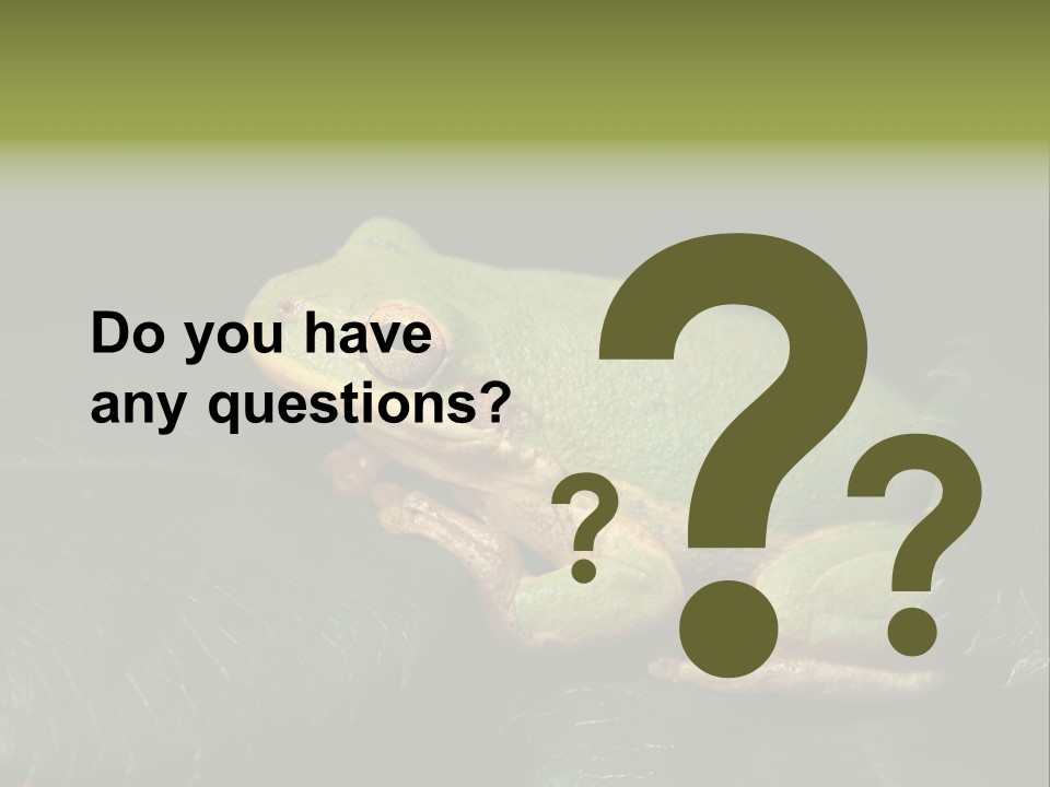 Frog Green Frog Nature PowerPoint Template