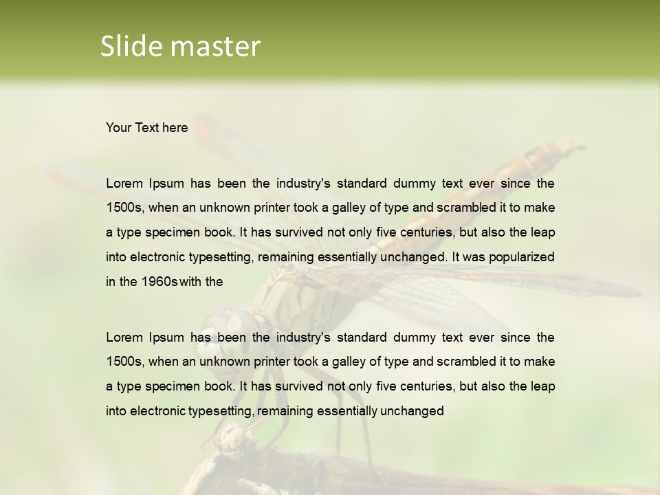 Brown Epiprocta Snaketail PowerPoint Template
