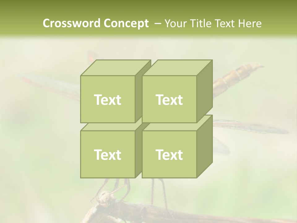Brown Epiprocta Snaketail PowerPoint Template