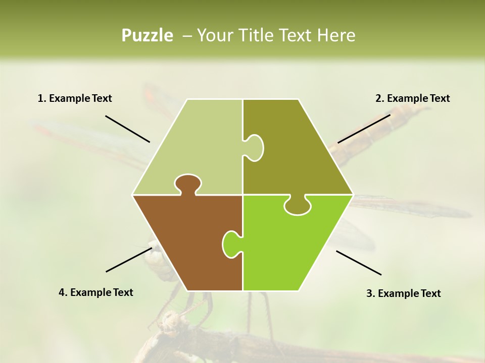 Brown Epiprocta Snaketail PowerPoint Template