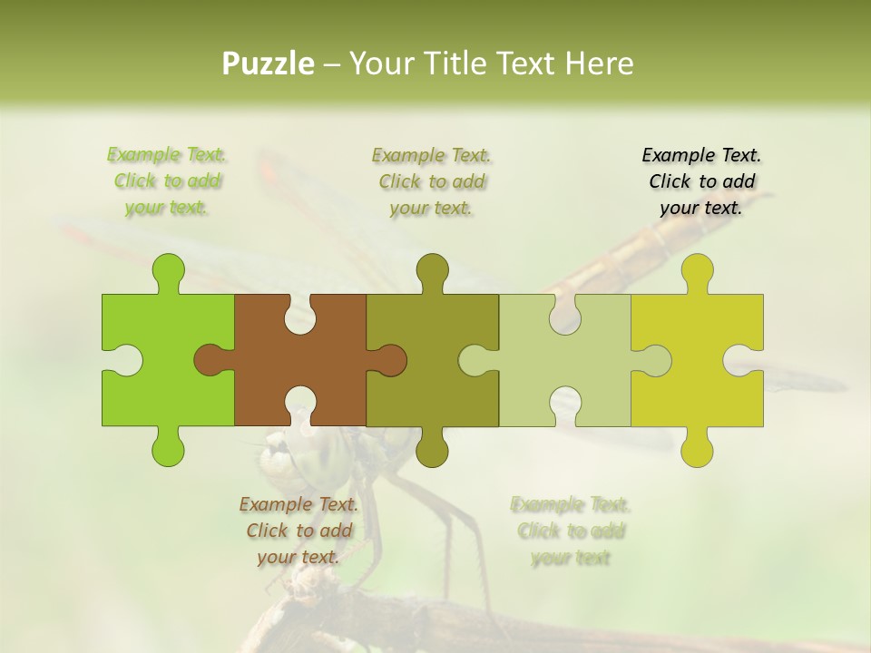 Brown Epiprocta Snaketail PowerPoint Template
