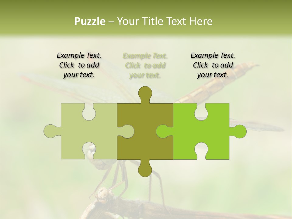 Brown Epiprocta Snaketail PowerPoint Template