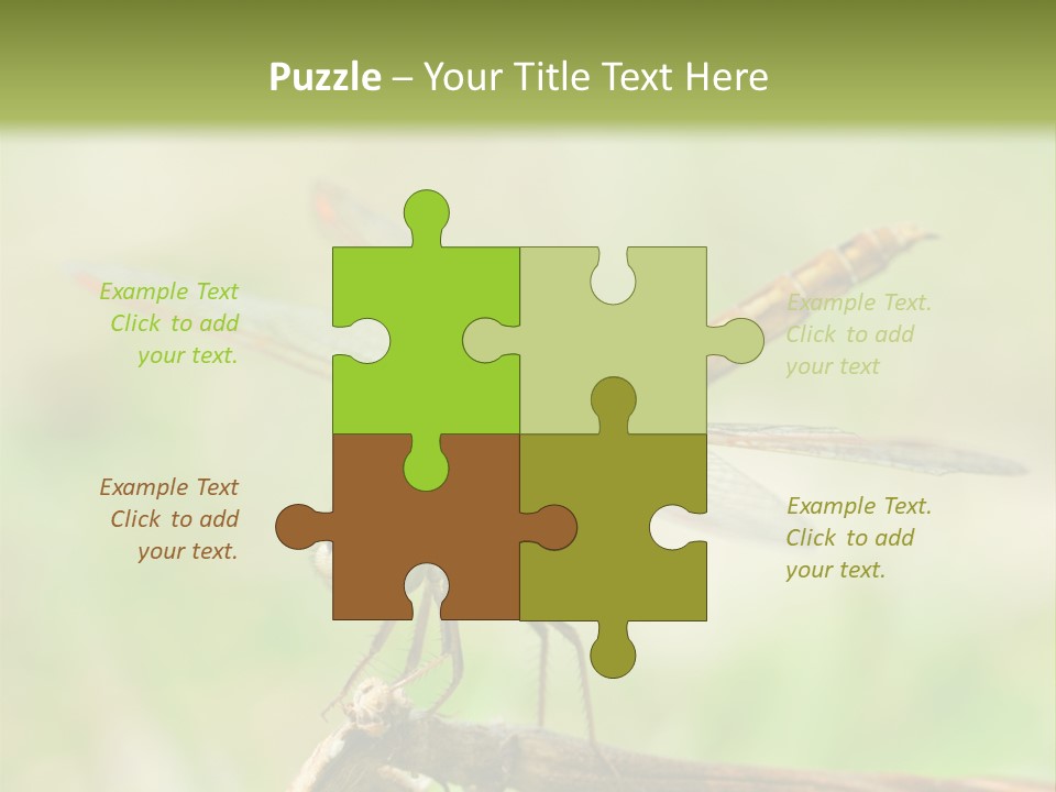 Brown Epiprocta Snaketail PowerPoint Template
