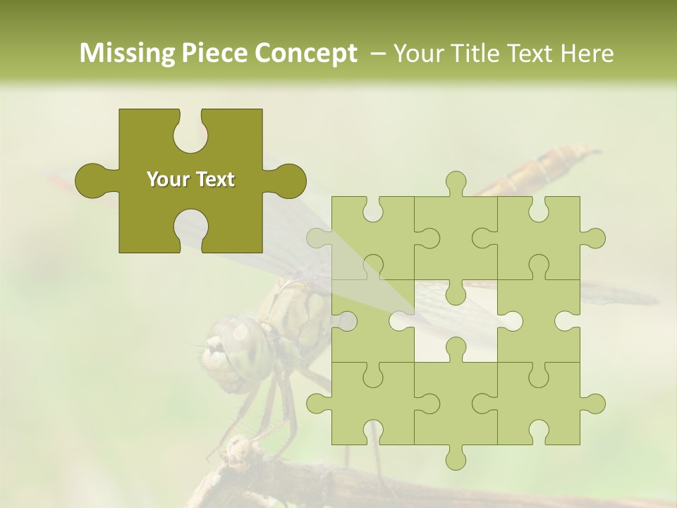 Brown Epiprocta Snaketail PowerPoint Template