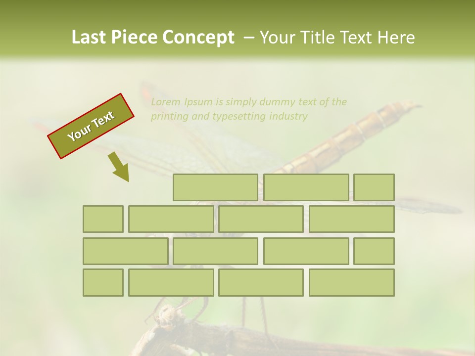 Brown Epiprocta Snaketail PowerPoint Template