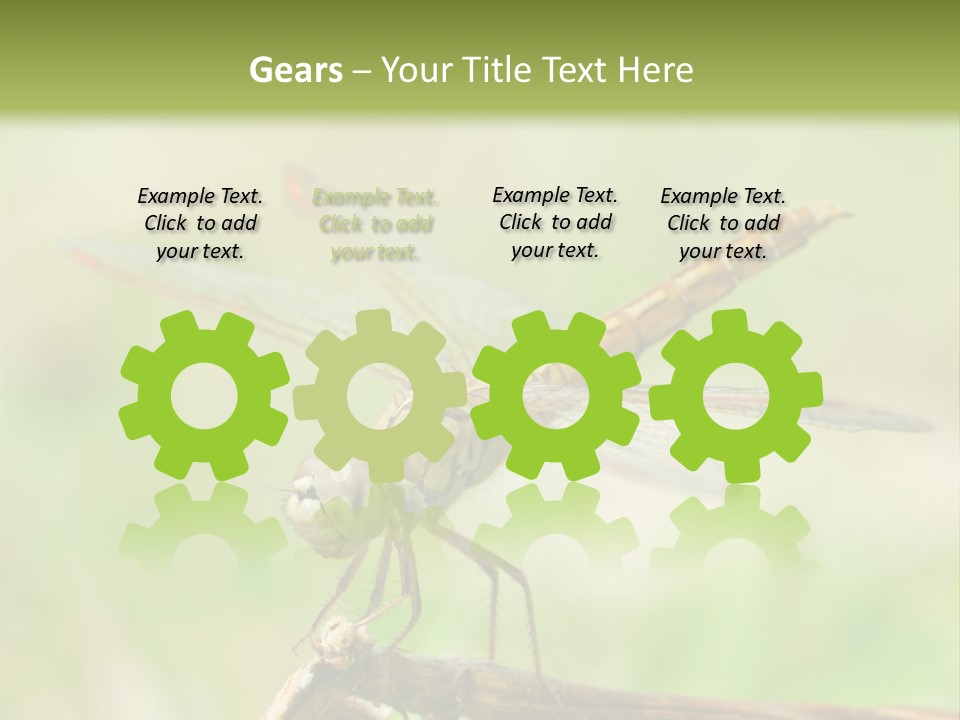 Brown Epiprocta Snaketail PowerPoint Template