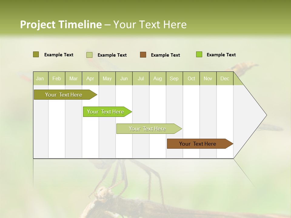 Brown Epiprocta Snaketail PowerPoint Template