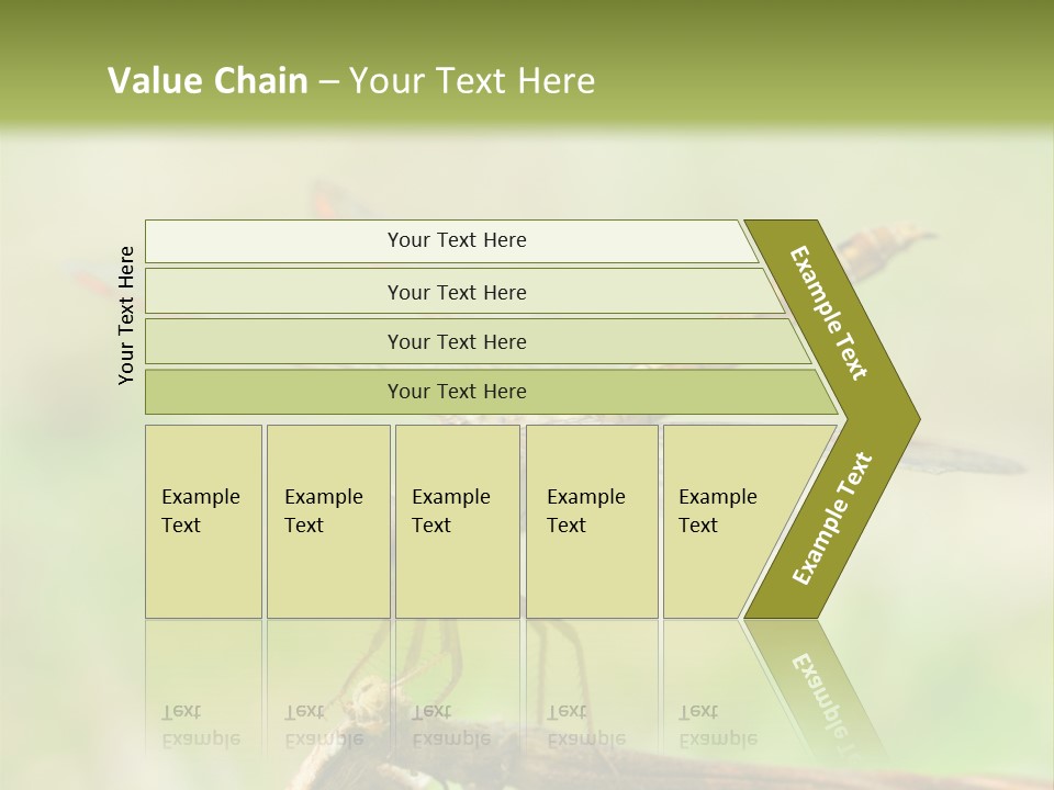 Brown Epiprocta Snaketail PowerPoint Template