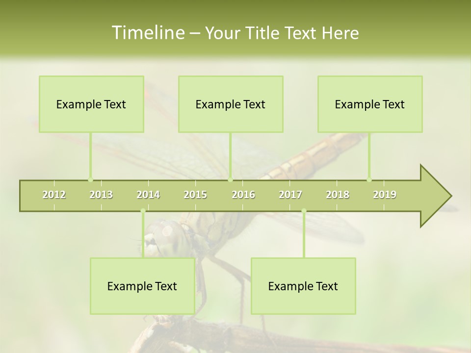 Brown Epiprocta Snaketail PowerPoint Template