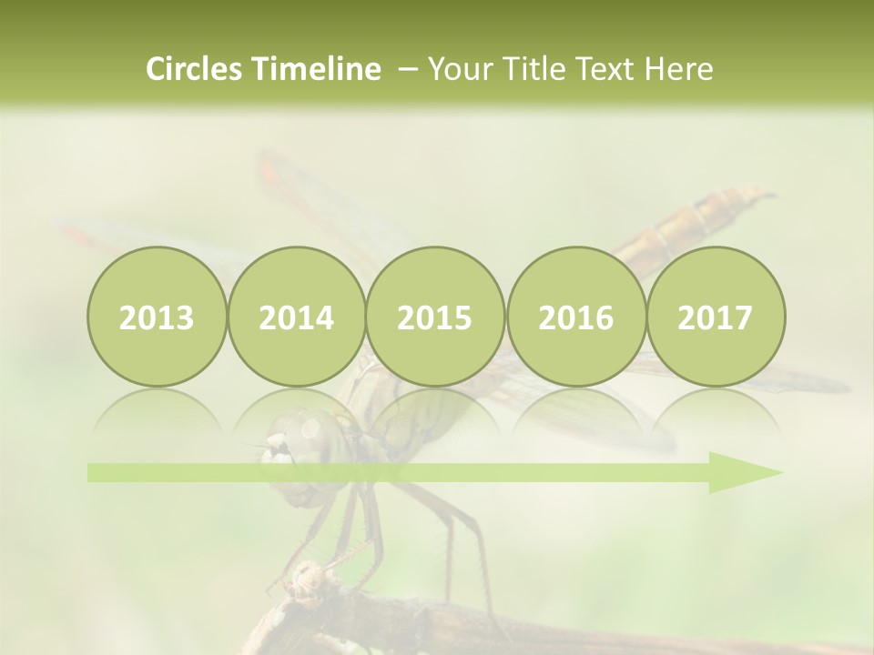 Brown Epiprocta Snaketail PowerPoint Template