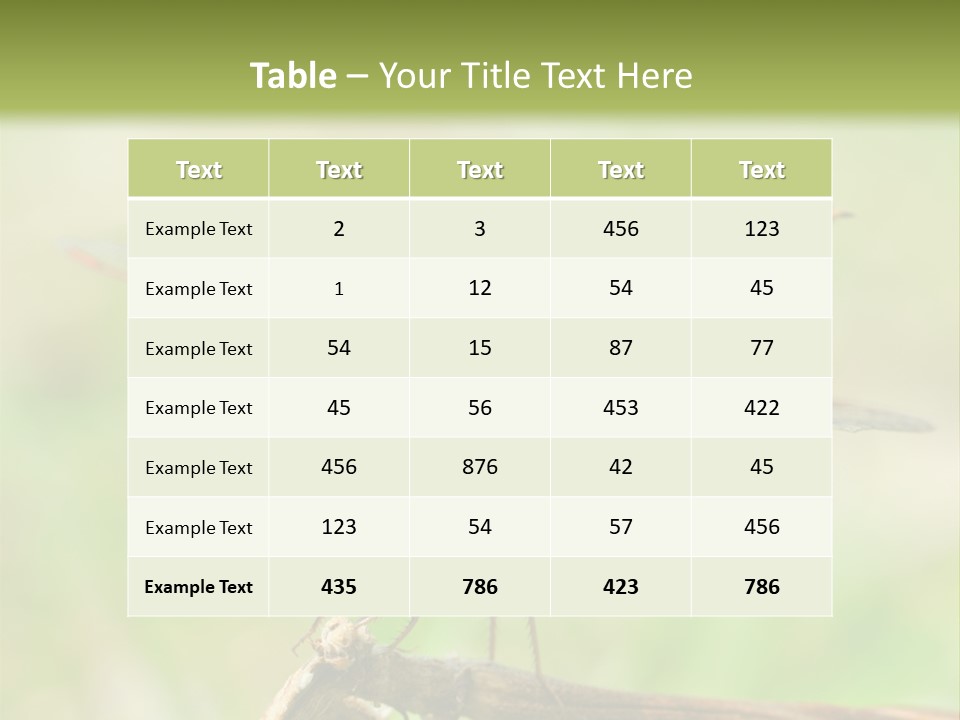 Brown Epiprocta Snaketail PowerPoint Template