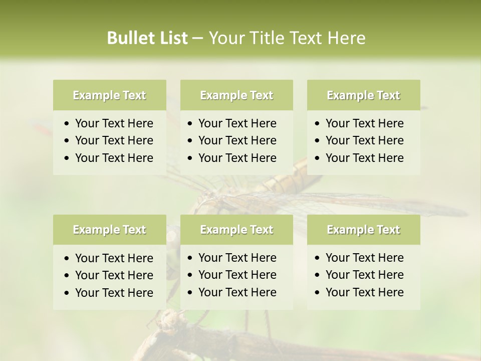 Brown Epiprocta Snaketail PowerPoint Template