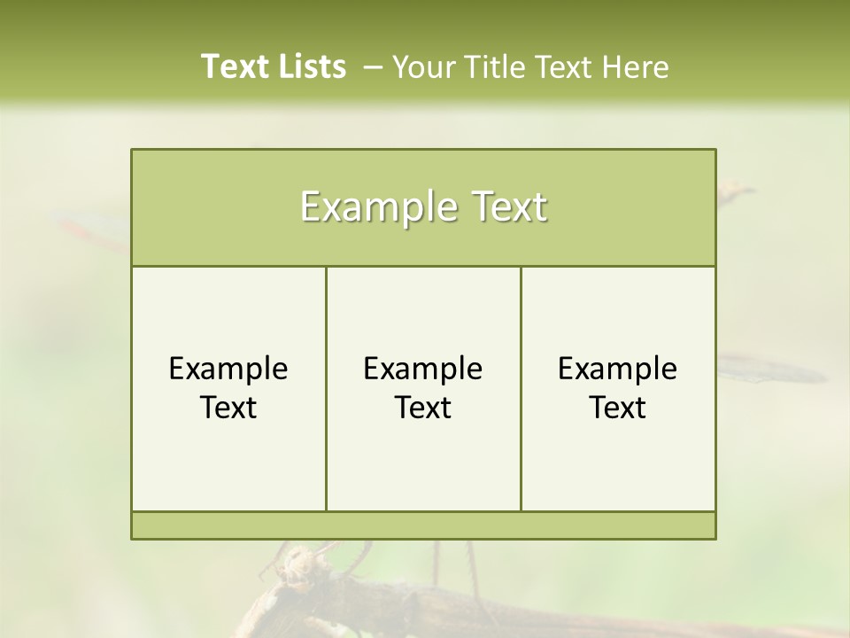 Brown Epiprocta Snaketail PowerPoint Template