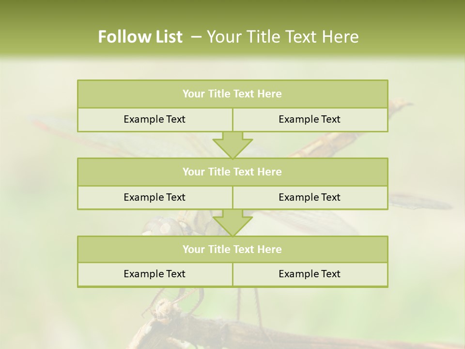 Brown Epiprocta Snaketail PowerPoint Template