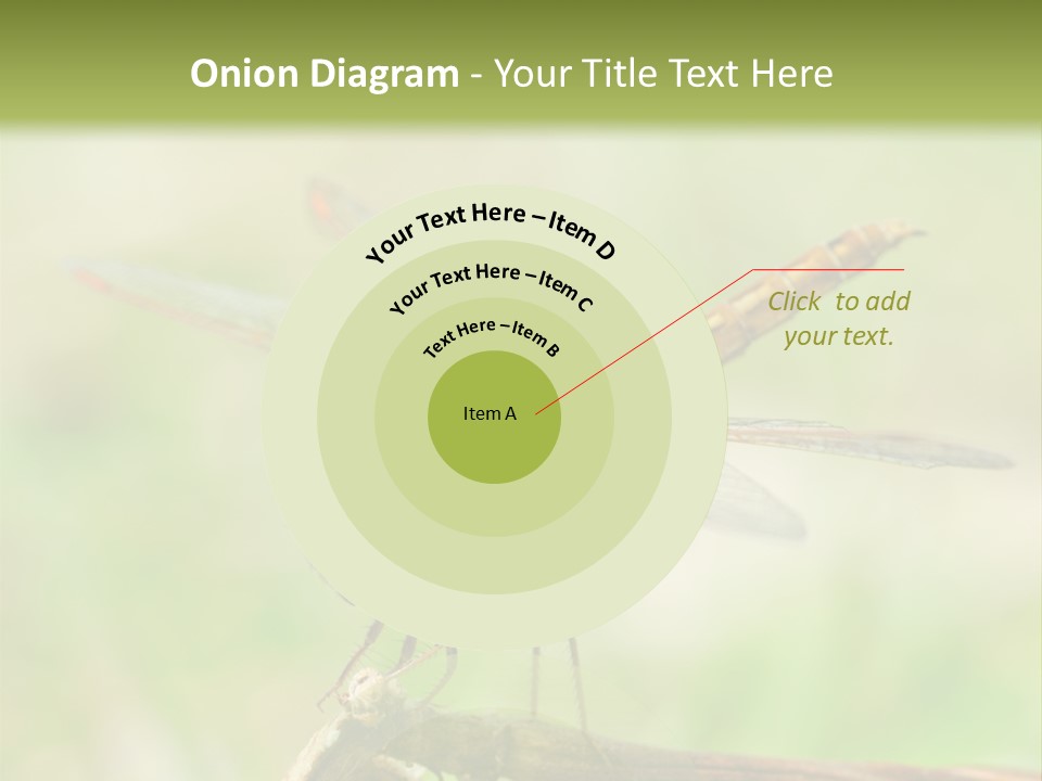 Brown Epiprocta Snaketail PowerPoint Template