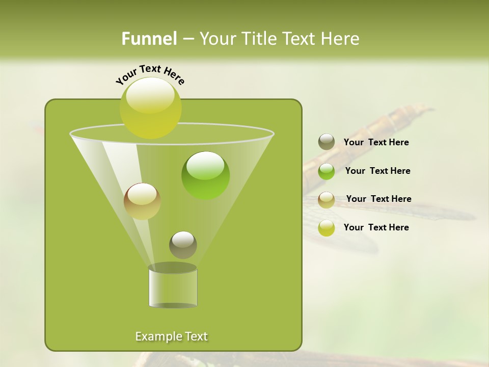 Brown Epiprocta Snaketail PowerPoint Template
