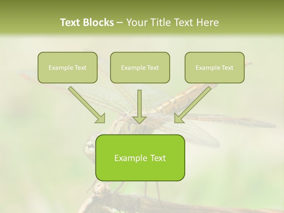 Brown Epiprocta Snaketail PowerPoint Template