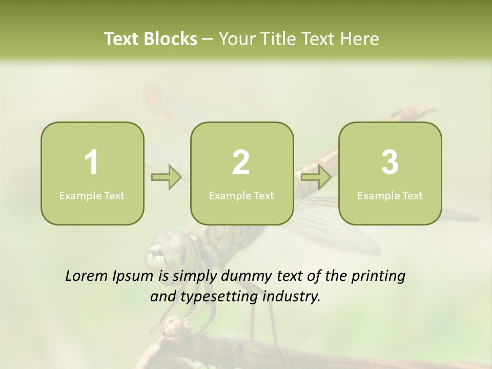 Brown Epiprocta Snaketail PowerPoint Template