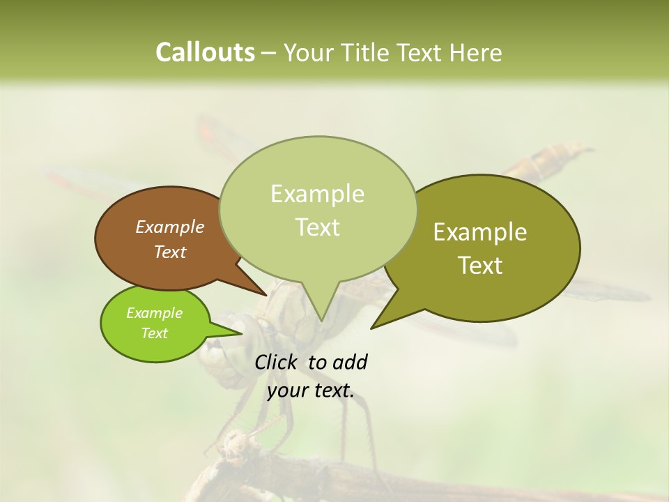 Brown Epiprocta Snaketail PowerPoint Template