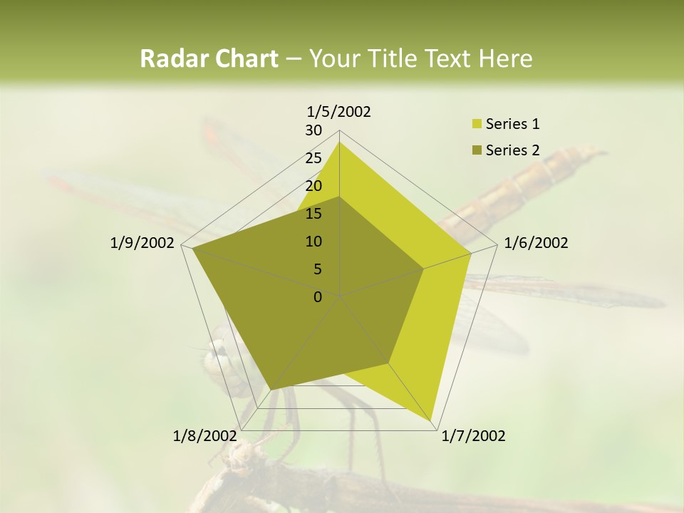 Brown Epiprocta Snaketail PowerPoint Template