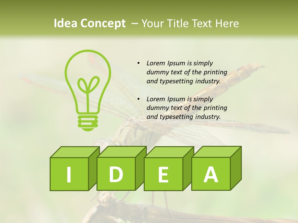 Brown Epiprocta Snaketail PowerPoint Template