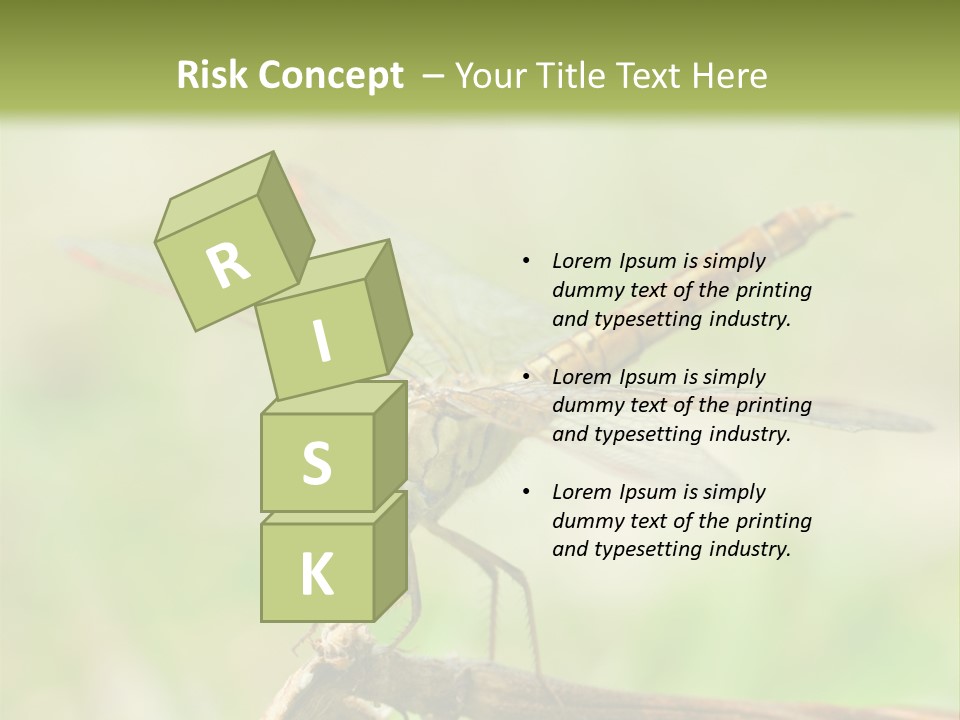 Brown Epiprocta Snaketail PowerPoint Template
