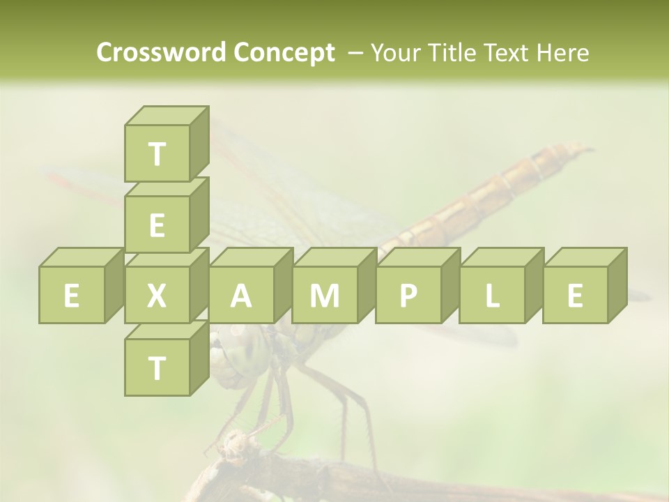 Brown Epiprocta Snaketail PowerPoint Template