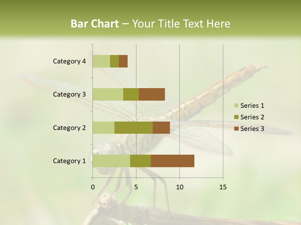 Brown Epiprocta Snaketail PowerPoint Template