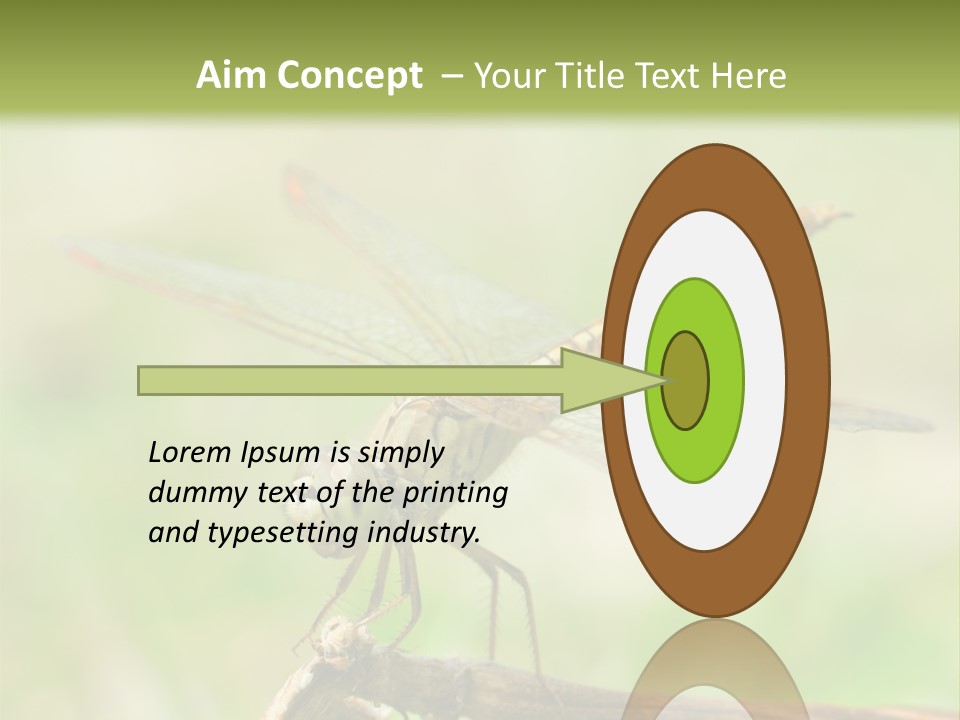 Brown Epiprocta Snaketail PowerPoint Template