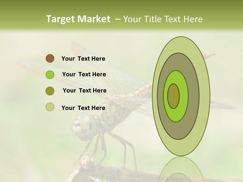 Brown Epiprocta Snaketail PowerPoint Template