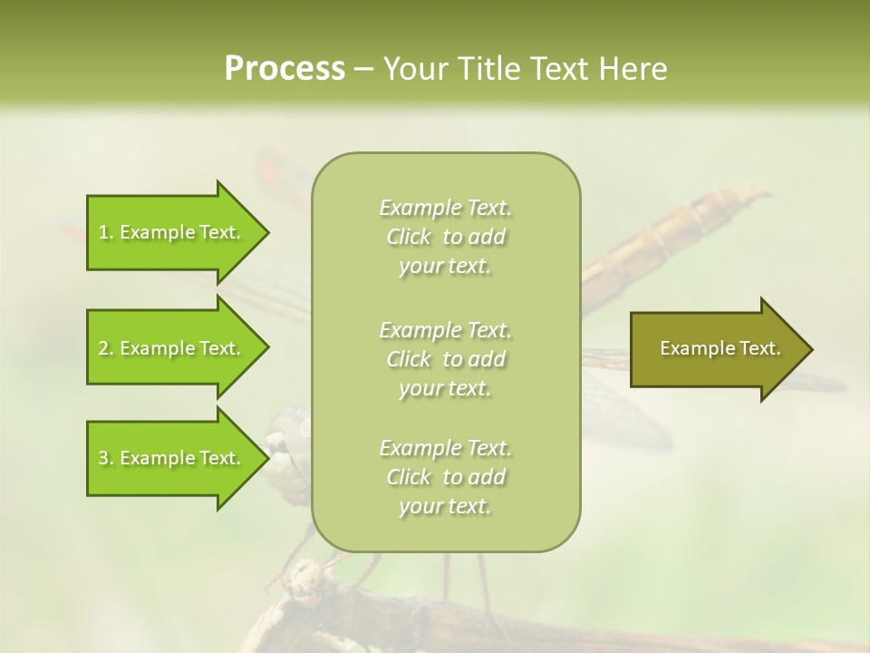 Brown Epiprocta Snaketail PowerPoint Template