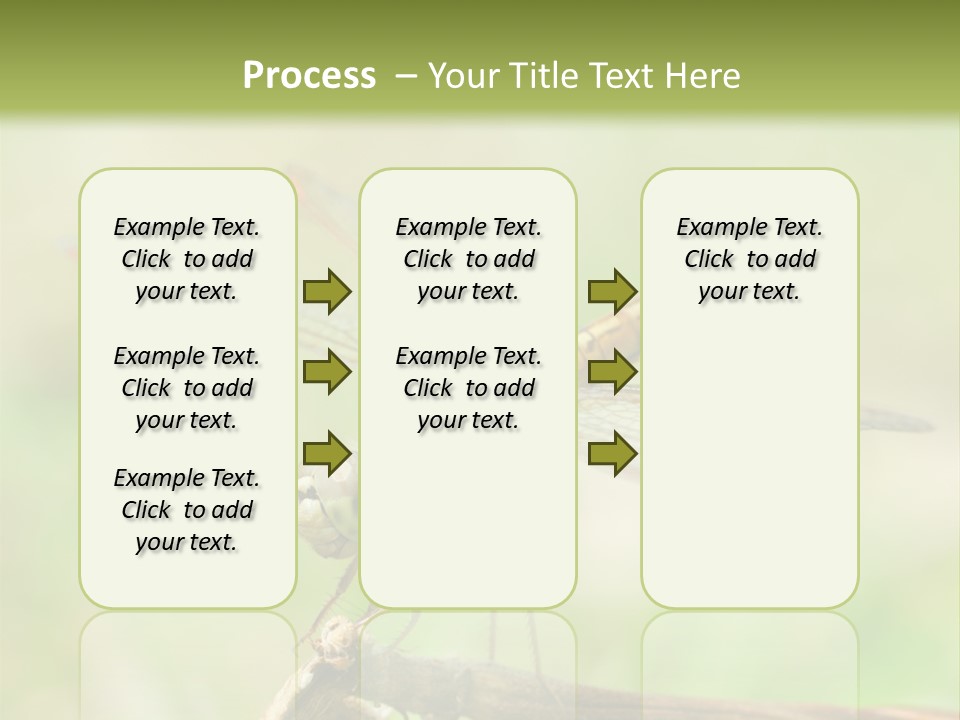 Brown Epiprocta Snaketail PowerPoint Template