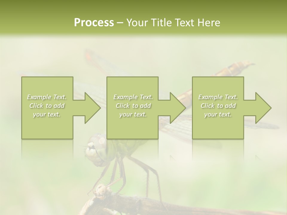 Brown Epiprocta Snaketail PowerPoint Template