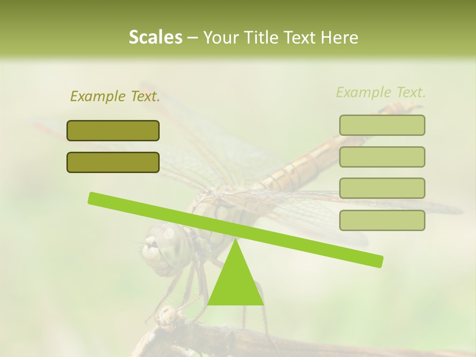Brown Epiprocta Snaketail PowerPoint Template