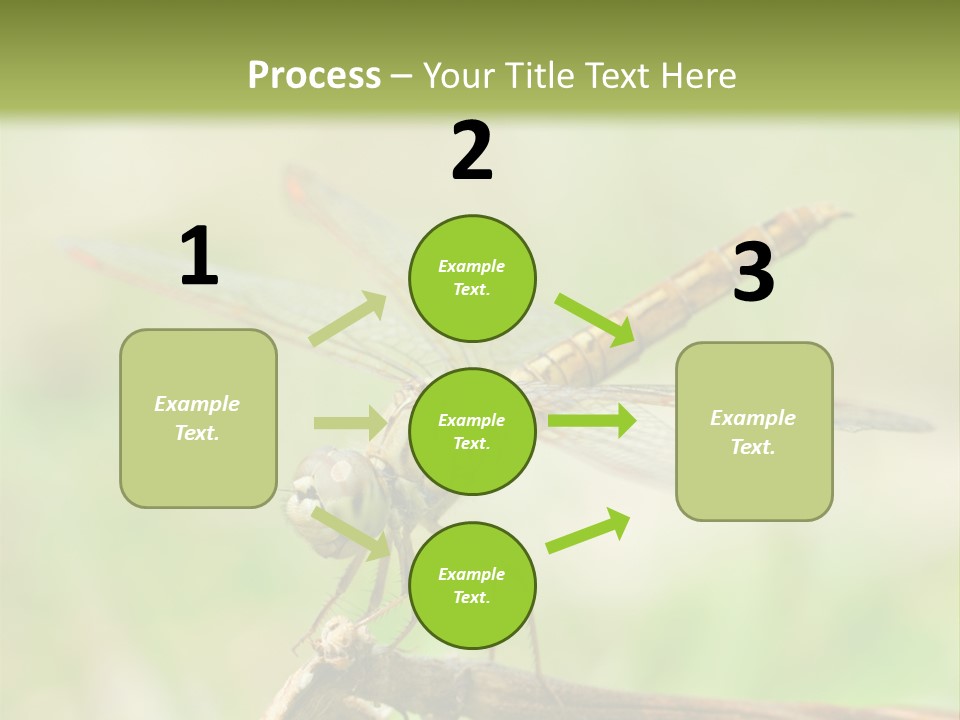 Brown Epiprocta Snaketail PowerPoint Template