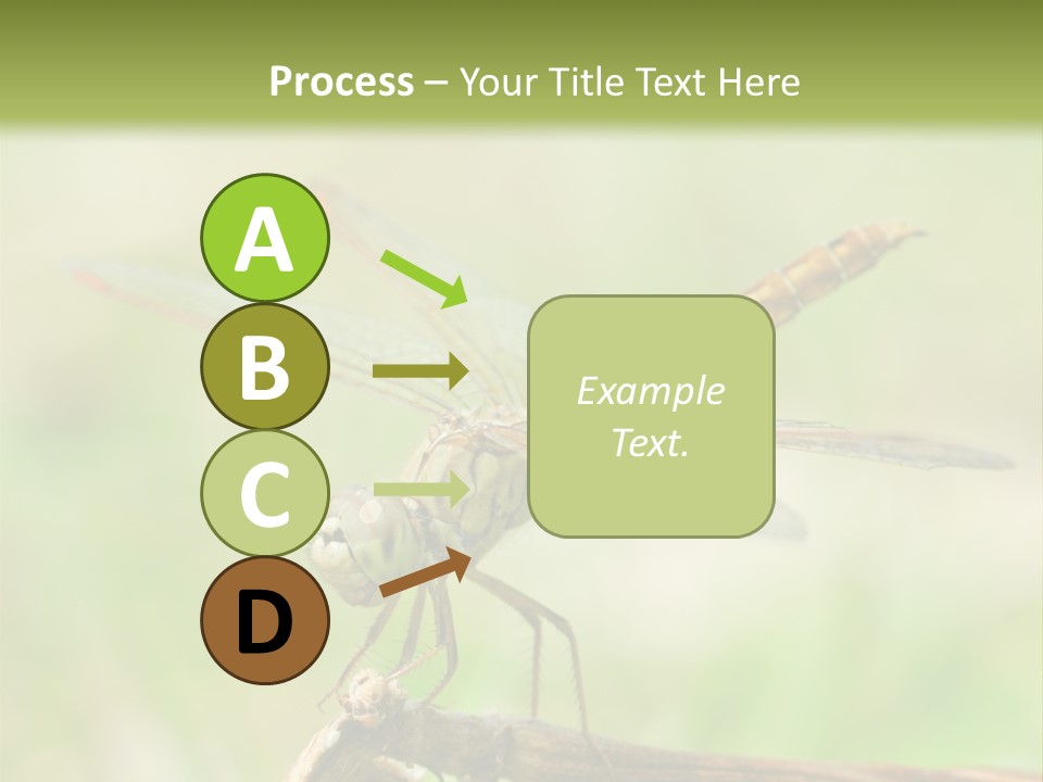 Brown Epiprocta Snaketail PowerPoint Template