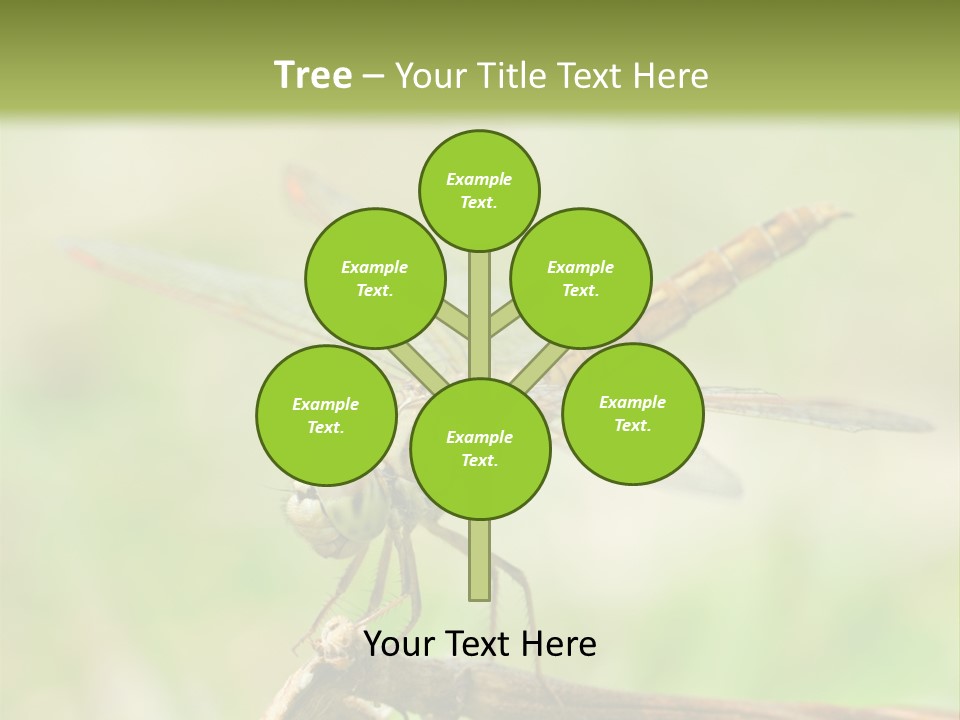 Brown Epiprocta Snaketail PowerPoint Template