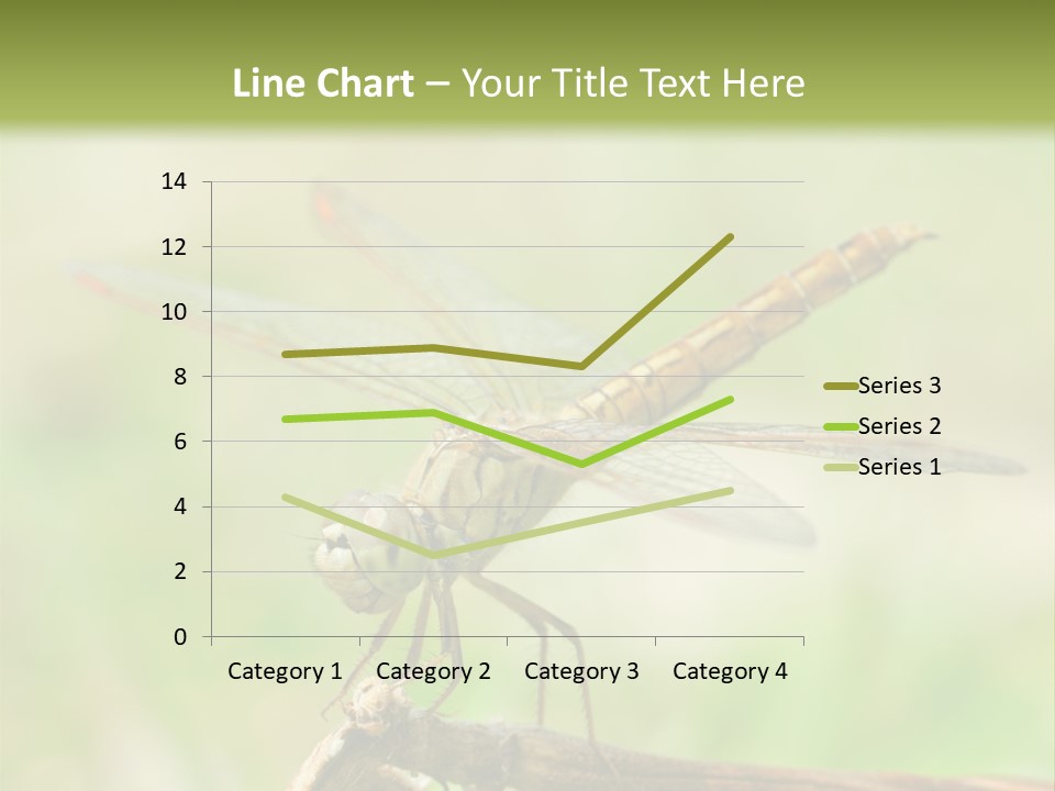 Brown Epiprocta Snaketail PowerPoint Template