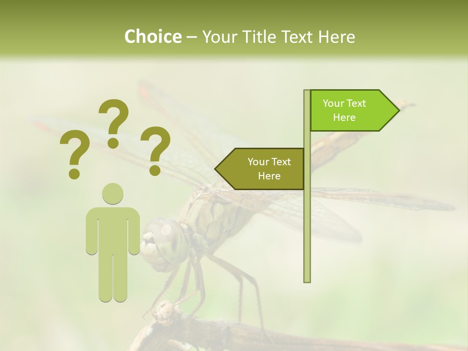 Brown Epiprocta Snaketail PowerPoint Template