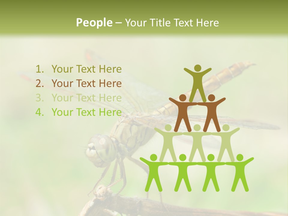 Brown Epiprocta Snaketail PowerPoint Template