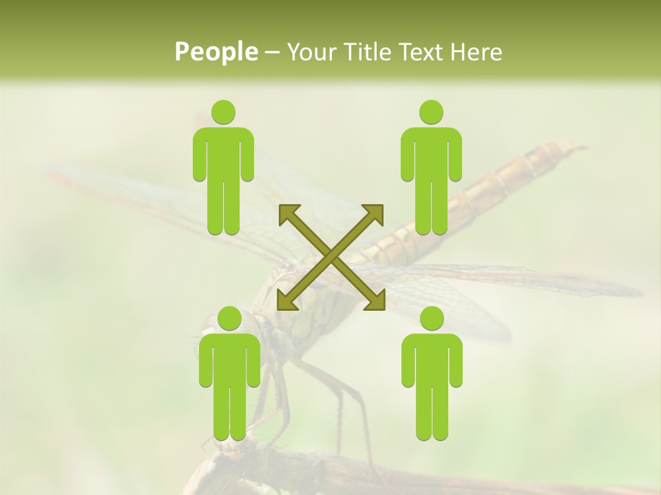 Brown Epiprocta Snaketail PowerPoint Template