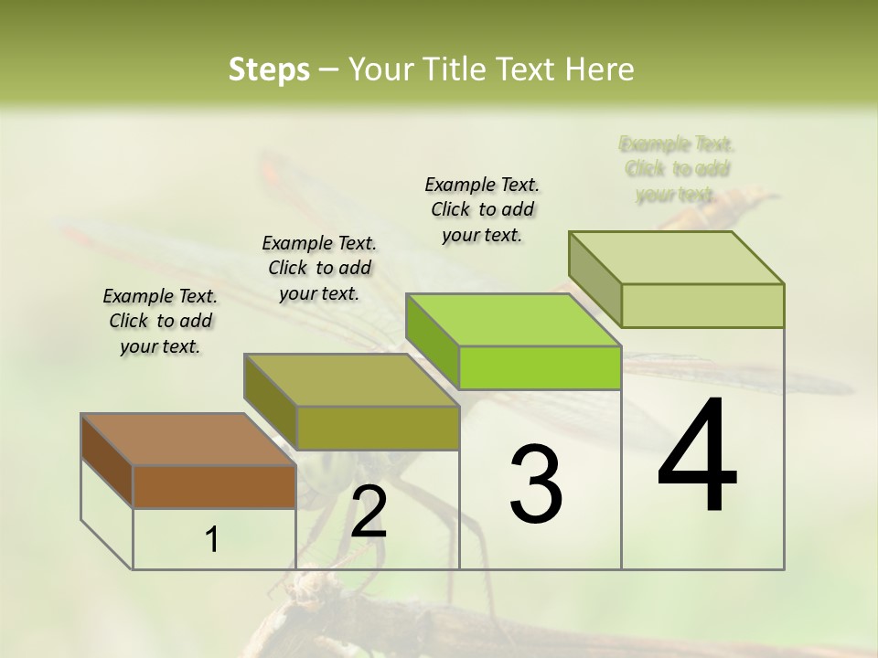 Brown Epiprocta Snaketail PowerPoint Template