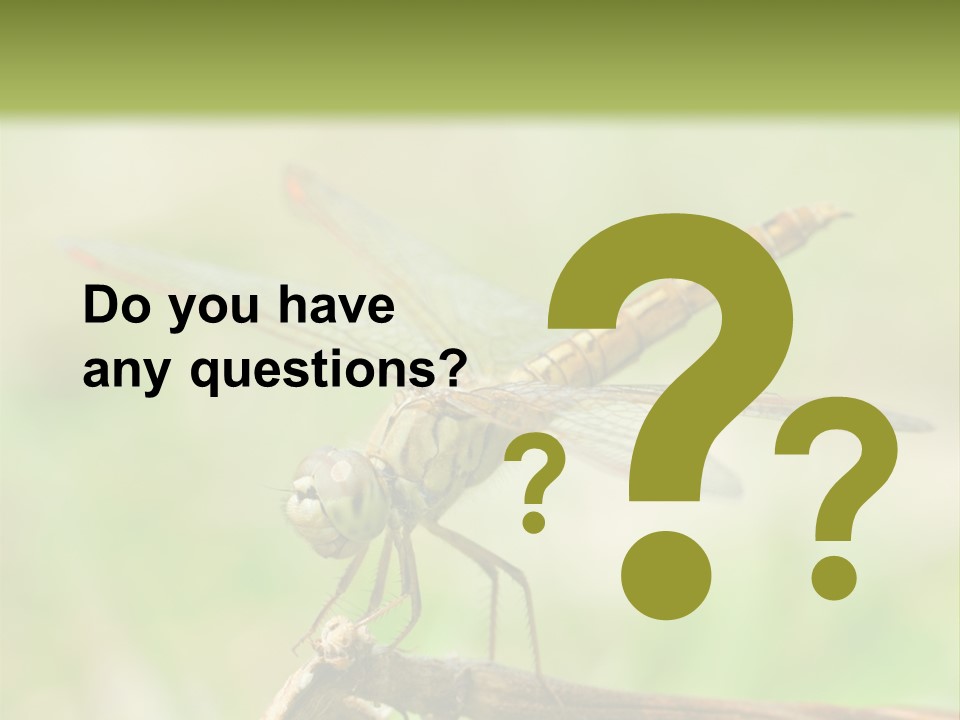 Brown Epiprocta Snaketail PowerPoint Template