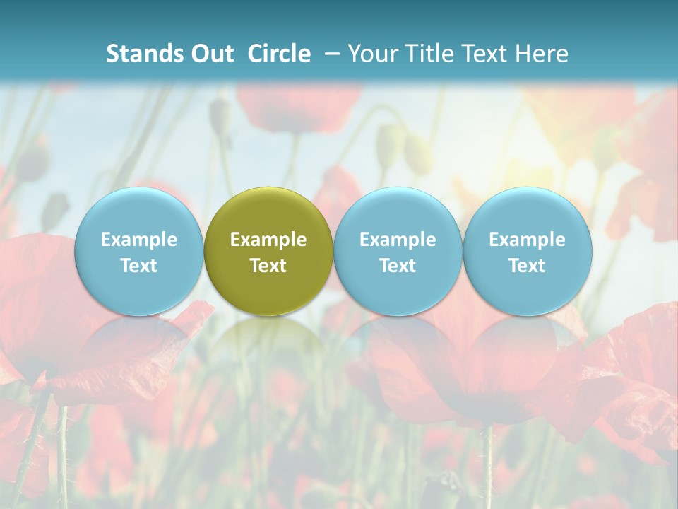 Spring Outdoor Flower PowerPoint Template