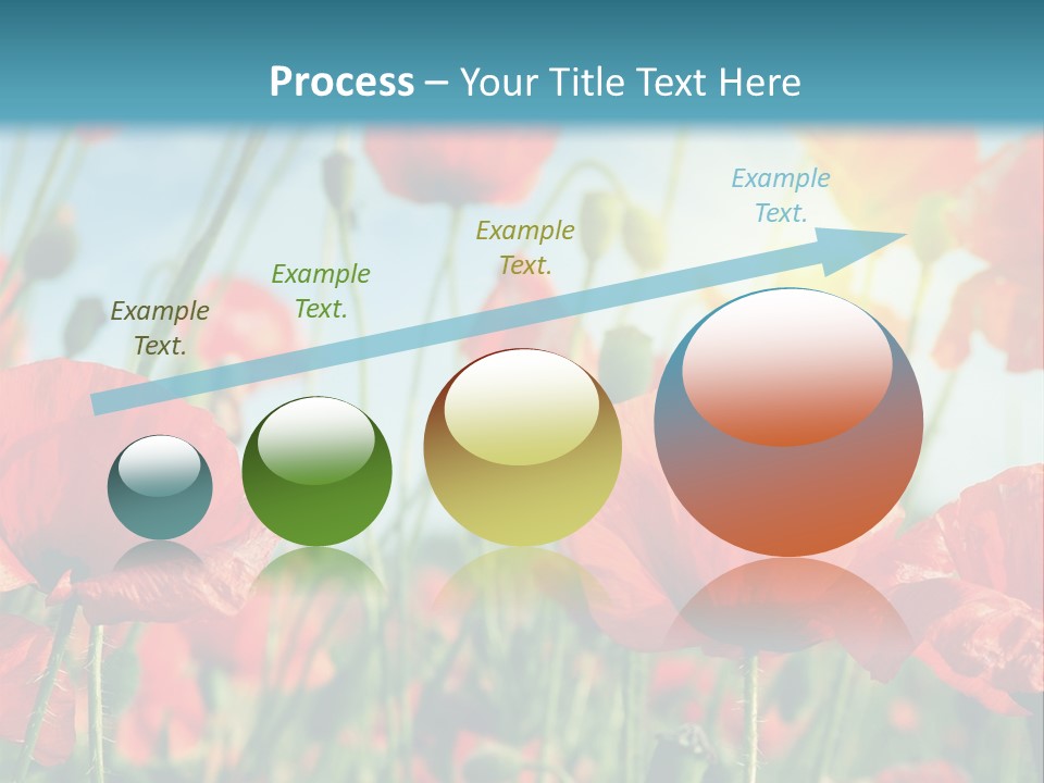 Spring Outdoor Flower PowerPoint Template