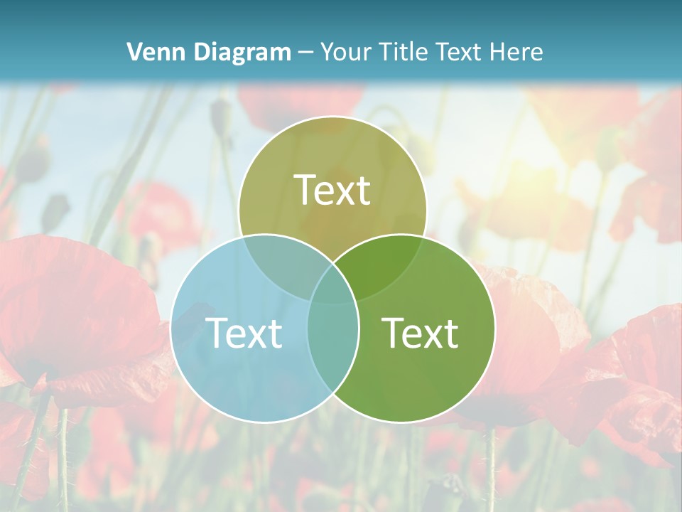 Spring Outdoor Flower PowerPoint Template