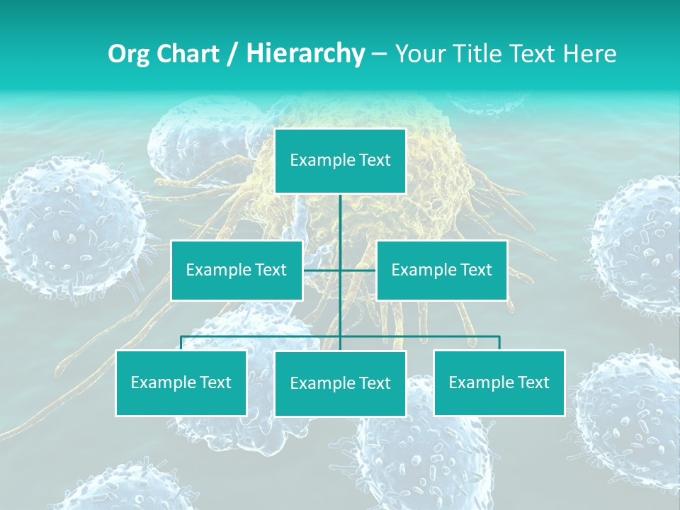 Cancer Cell Immune System Cancer PowerPoint Template